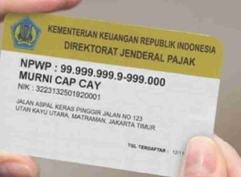 Cara Cek Apakah KTP Sudah Bisa Dipakai Untuk NPWP Setia 49 OFF