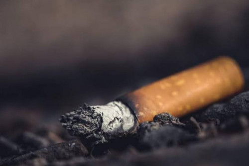 Sering Terdampak Asap Rokok hingga Lupa Bahaya Limbah Puntung Rokok ...