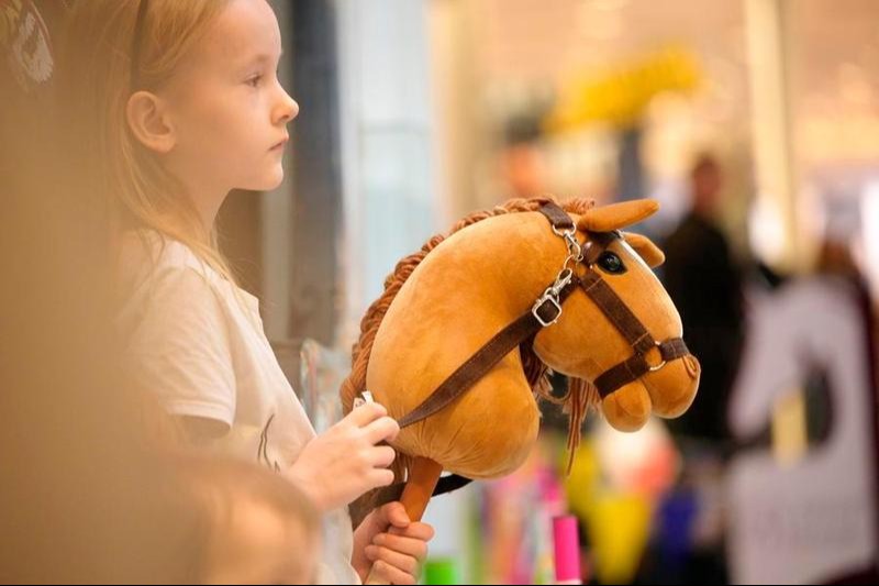 Seorang gadis memegang kuda hobi