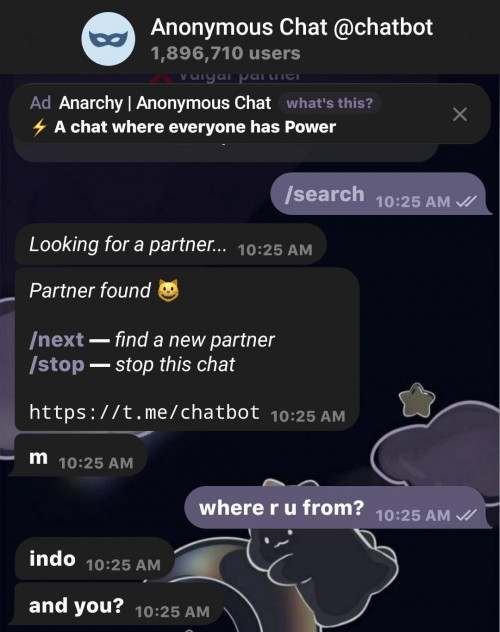 Ketika Anonimitas Menjadi Ruang Ekspresi melalui Bot Anonymous Chat ...