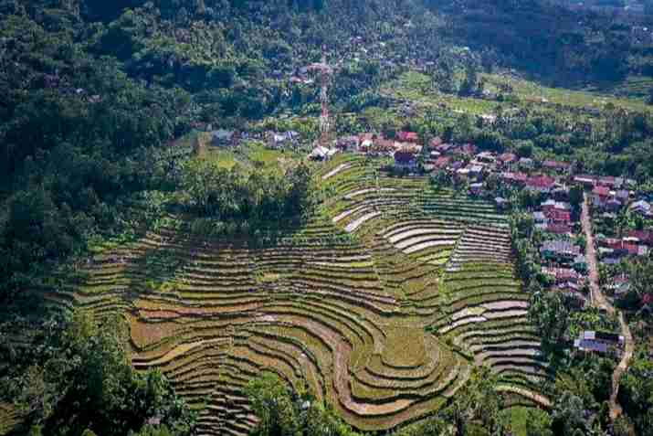 Pariwisata Buah: Menyejahterakan Petani, Melesatkan Ekonomi Kuripan Kidul