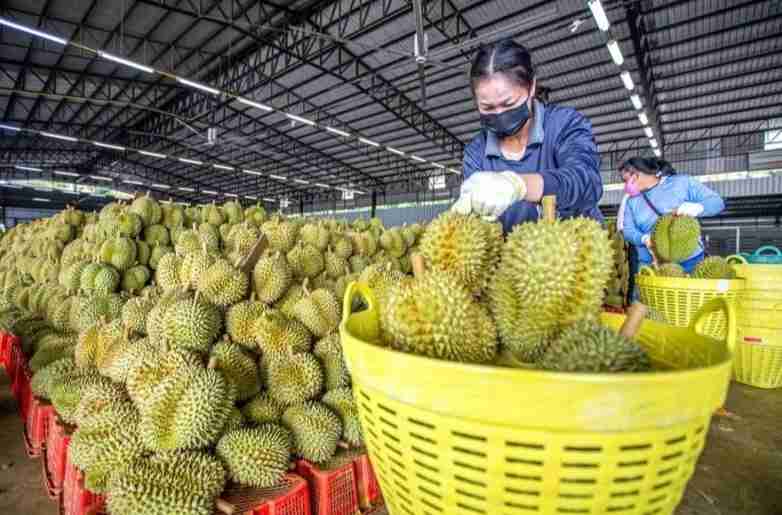 China-Thailand Sepakat Bangun Komunitas Masa Depan Bersama