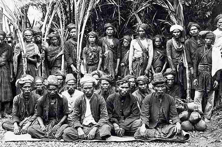 Keunikan Suku Samin: Mengungkap Sejarah Menawan Di Tanah Jawa | NNC Netralnews