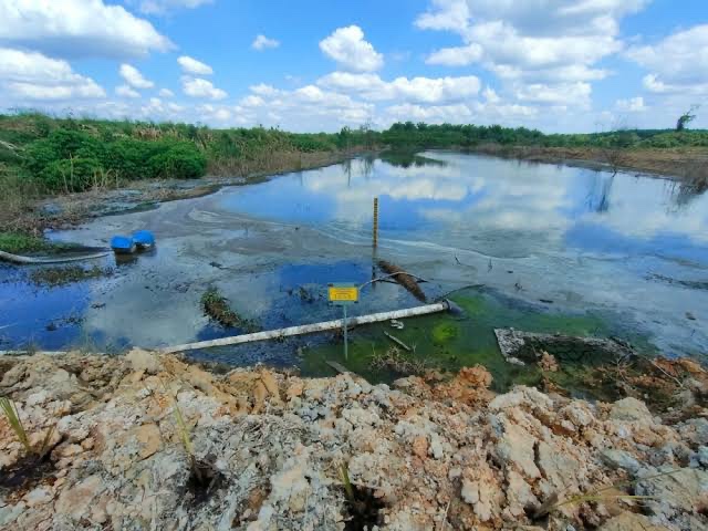 Pencemaran oleh Pabrik Sawit PT BMB di Kecamatan Mahuning, Gunung Mas
