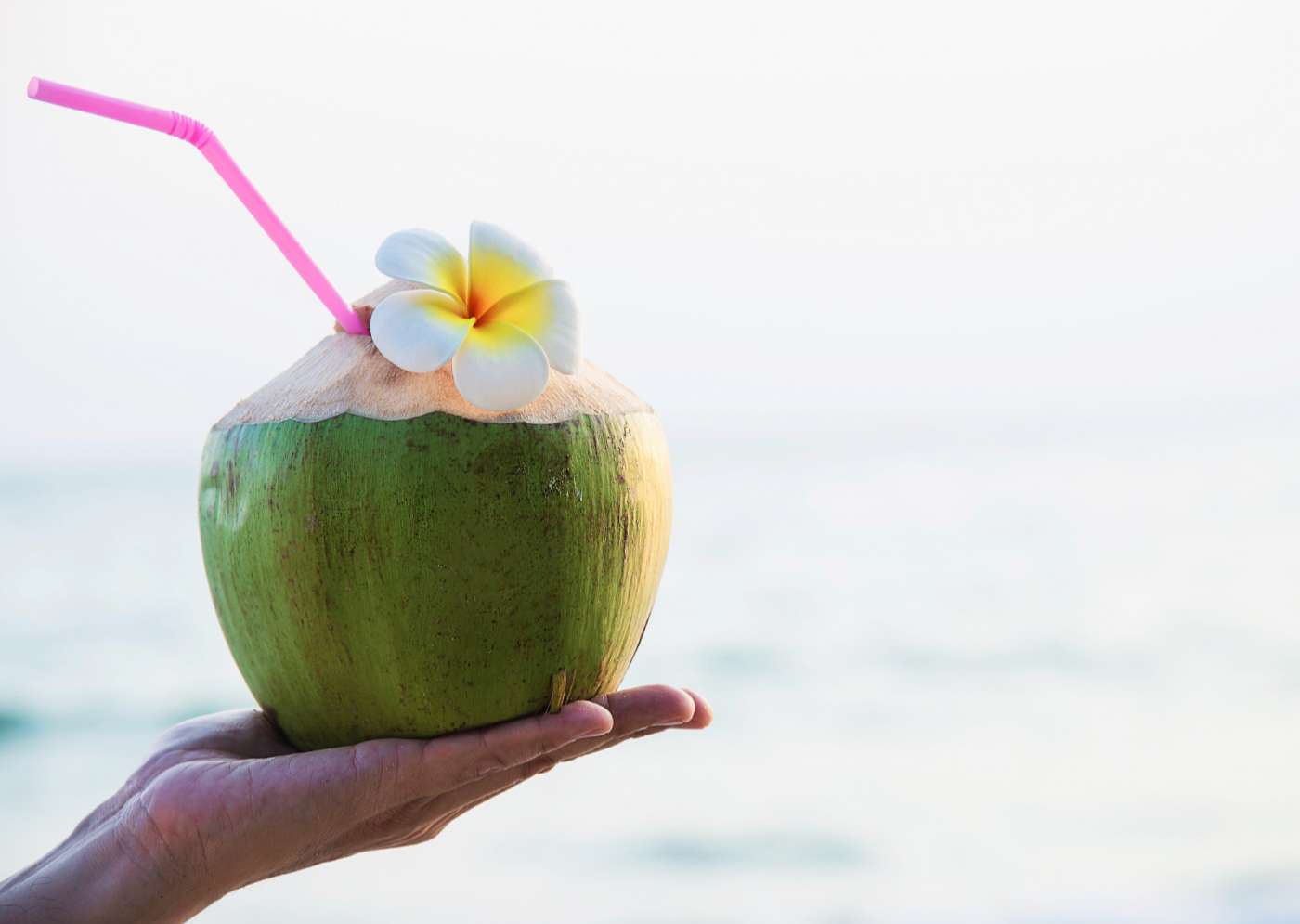 Muda kelapa minum khasiat air Berapa banyak